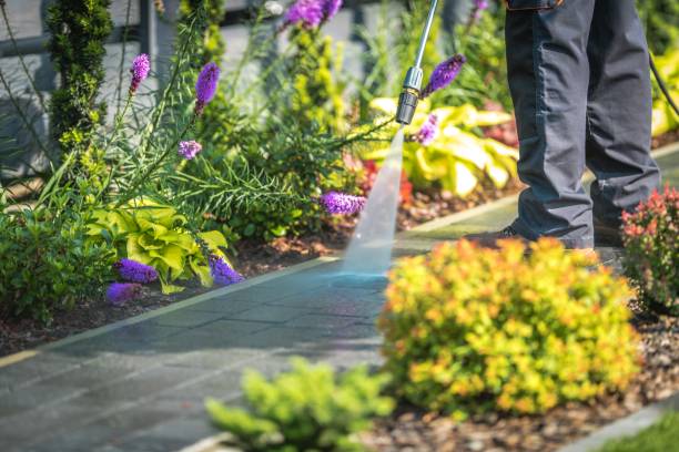 Best Commercial Pressure Washing in New Berlin, IL